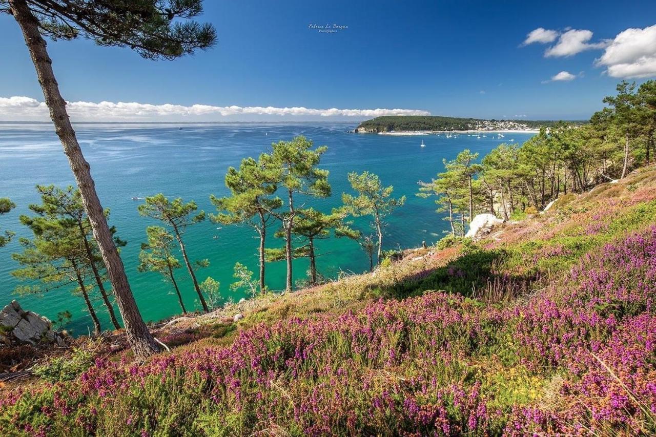 Appartement Cosy Les Pieds Dans L'Eau, Vue Mer Exceptionnelle 크로종 외부 사진